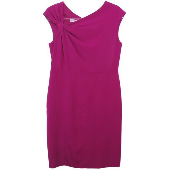 Ivy & Blu Raspberry Purple Shift Dress Midi Dress Size 10P Formal Classic - Picture 2 of 7